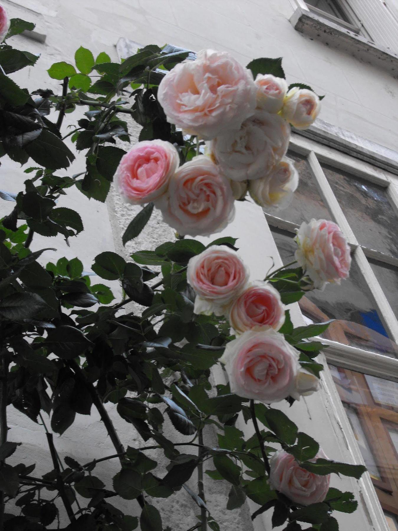 La Demeure Saint-Ours Bed & Breakfast โลช ภายนอก รูปภาพ